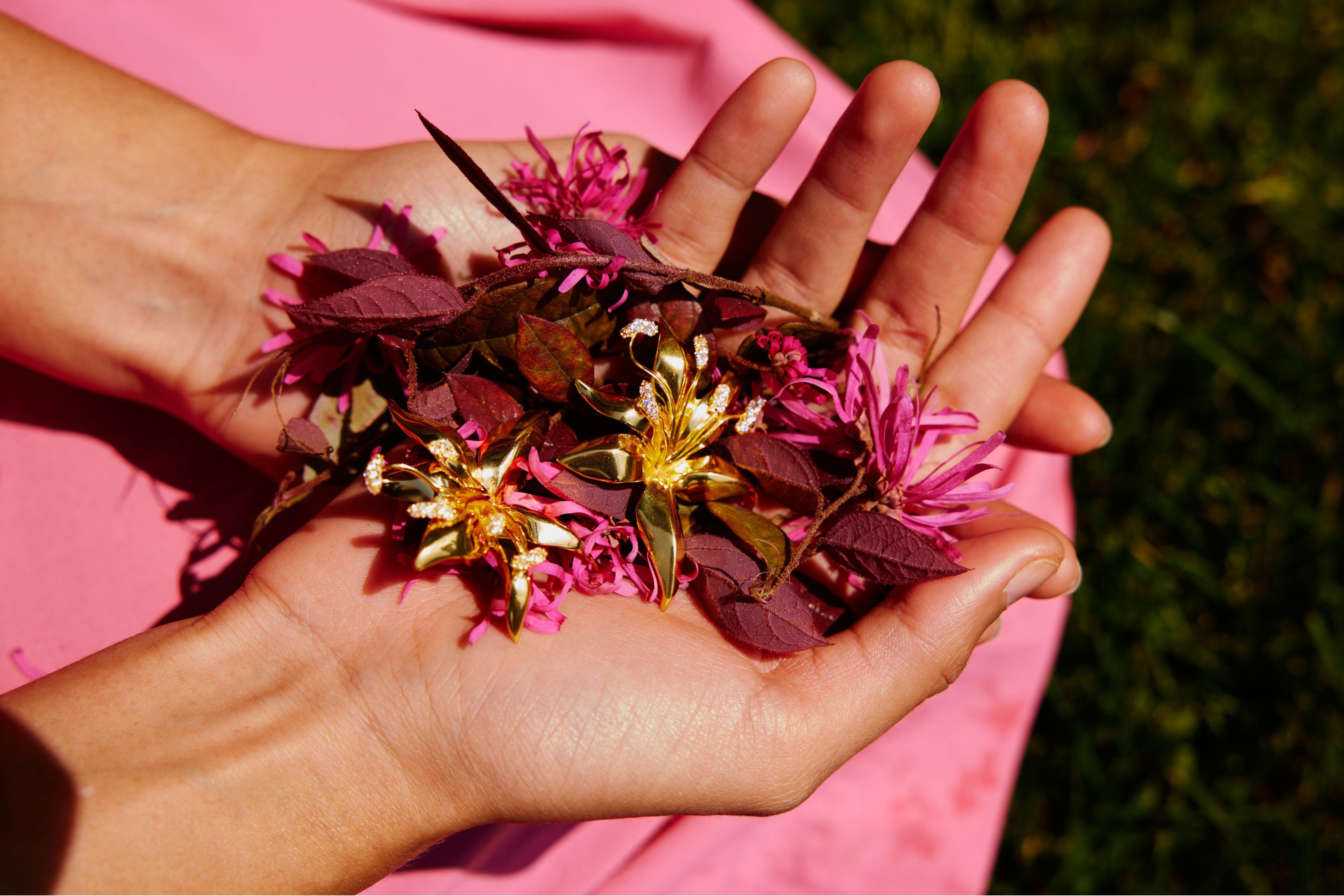 Pick Your Flower From Boboli Garden