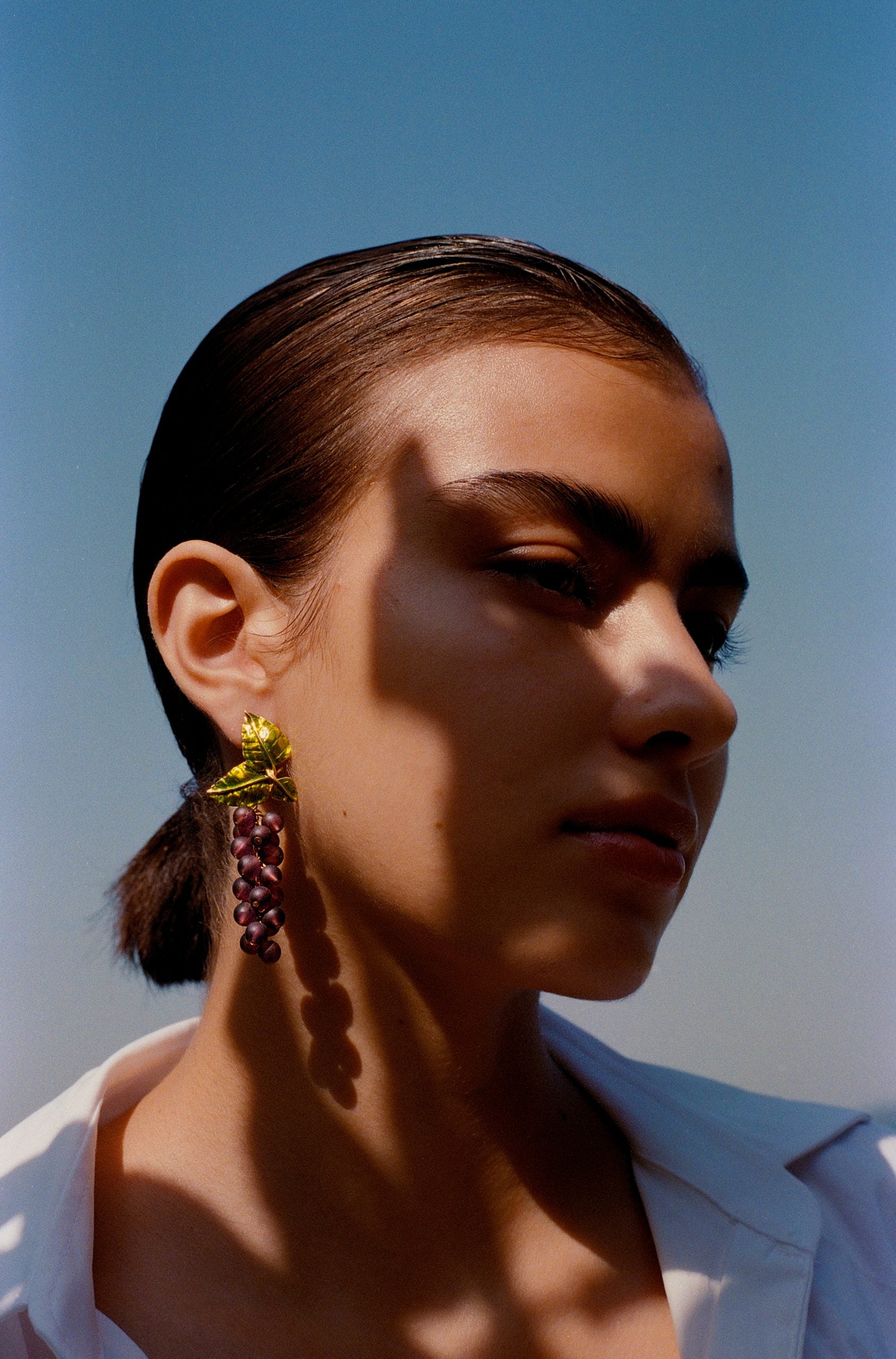 ENAMEL DAFNE