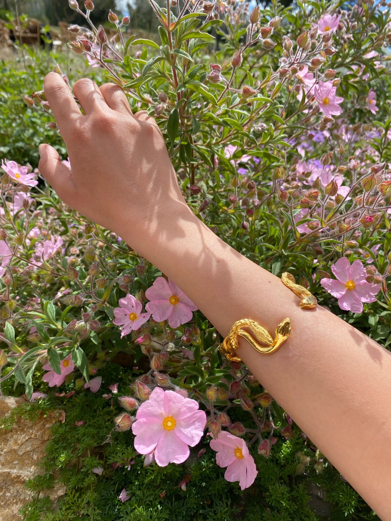 MEDUSA