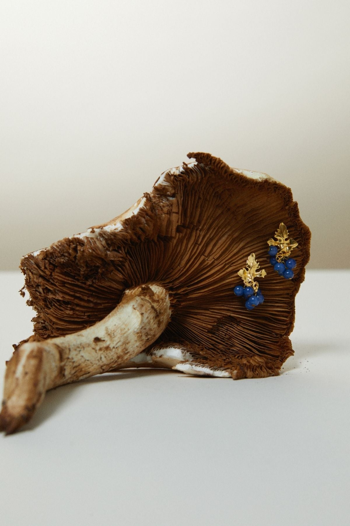 Mushroom with blue and gold earrings on a white surface