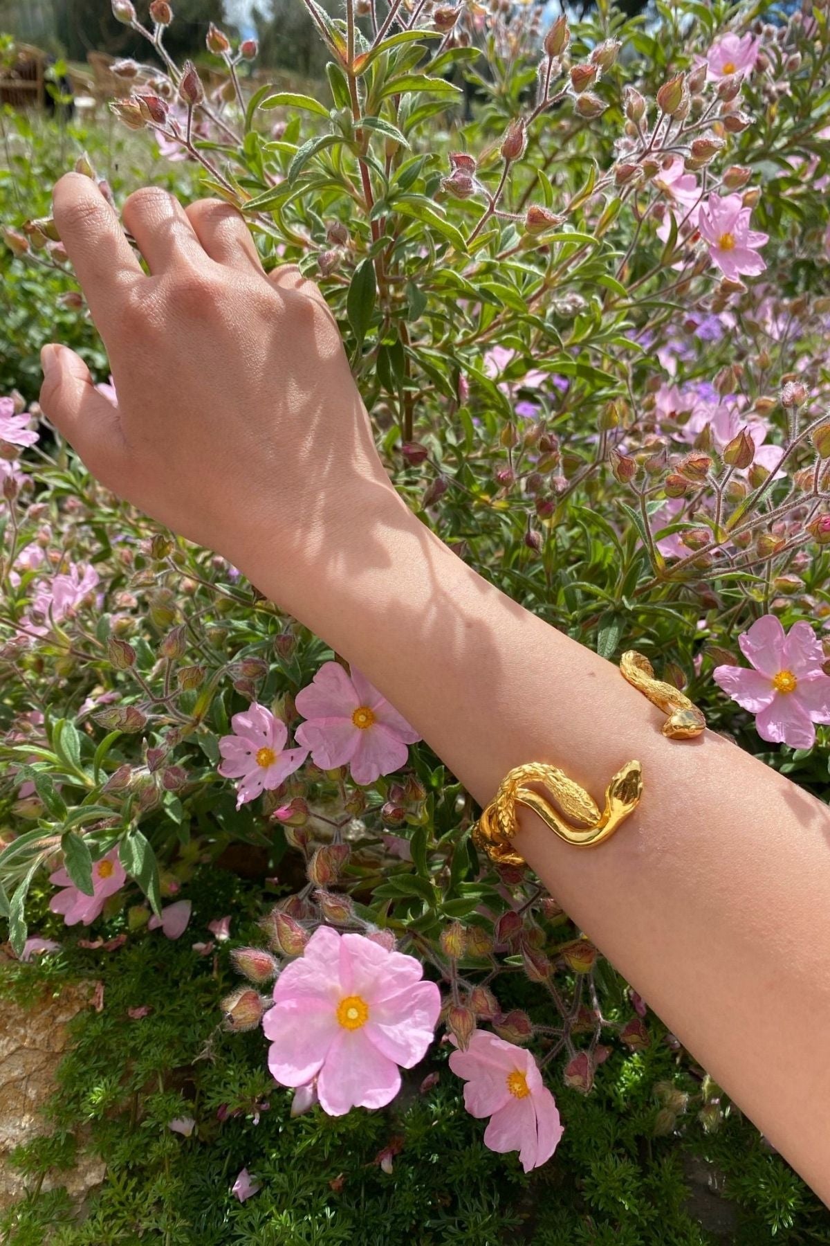 MEDUSA
