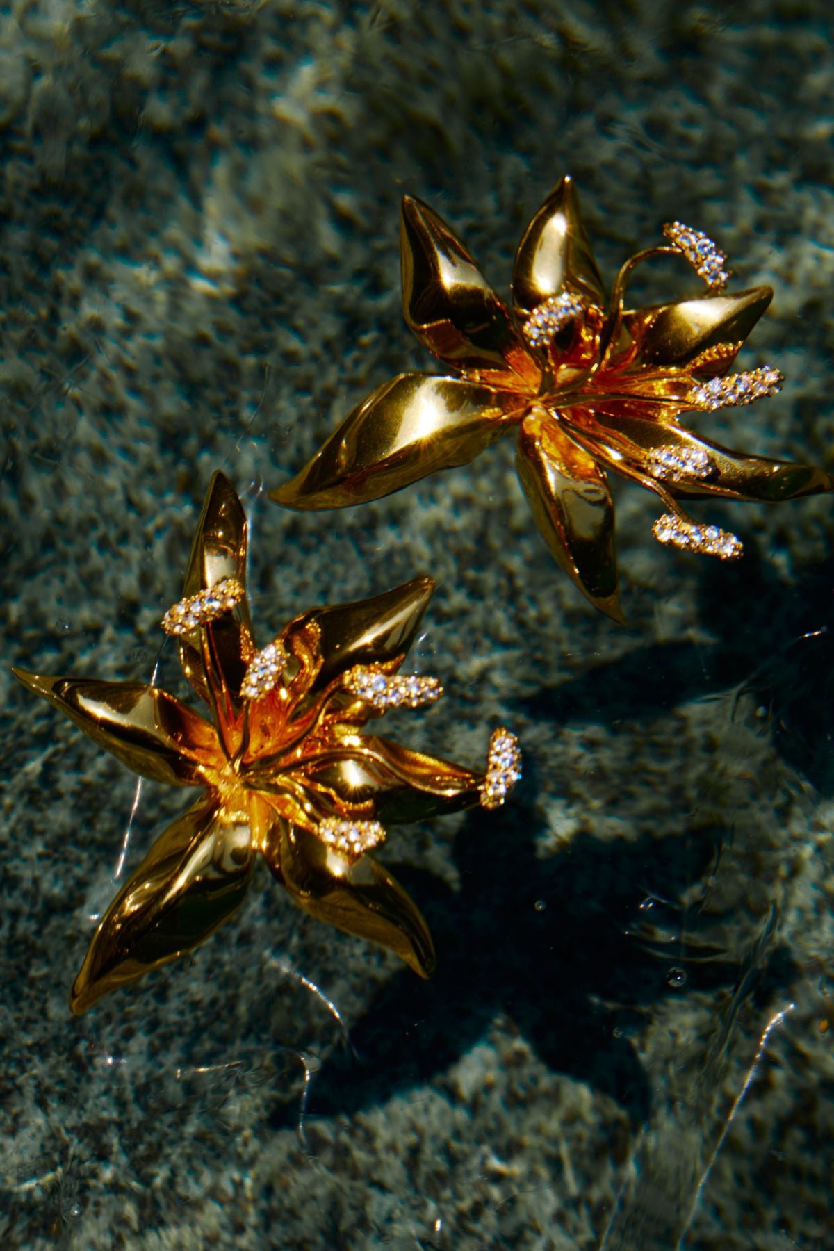 LILY CRYSTAL